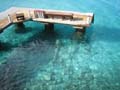 Jetty at Buddy Dive
